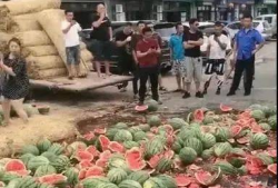 长垣吃瓜事件爆料入口,爆料入口背后的真相与争议