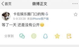 哈尔滨吃瓜爆料找谁举报,揭秘举报途径与操作指南